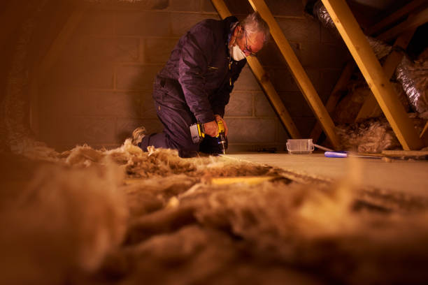 Best Soundproof Insulation  in Orofino, ID